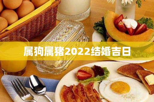 属狗属猪2022结婚吉日