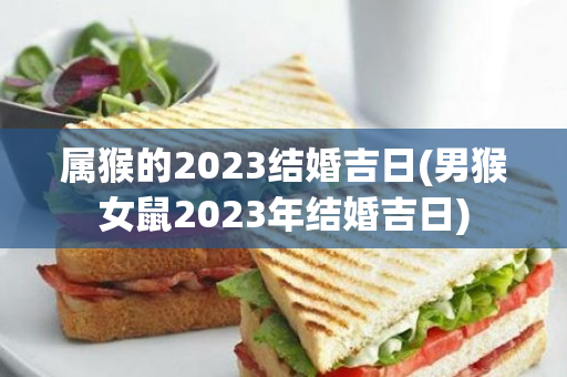 属猴的2023结婚吉日(男猴女鼠2023年结婚吉日)