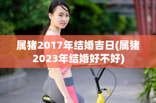 属猪2017年结婚吉日(属猪2023年结婚好不好)