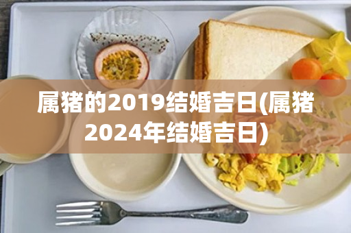 属猪的2019结婚吉日(属猪2024年结婚吉日)