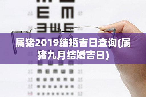 属猪2019结婚吉日查询(属猪九月结婚吉日)