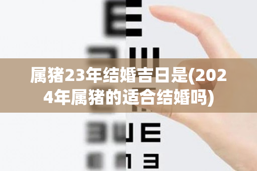 属猪23年结婚吉日是(2024年属猪的适合结婚吗)