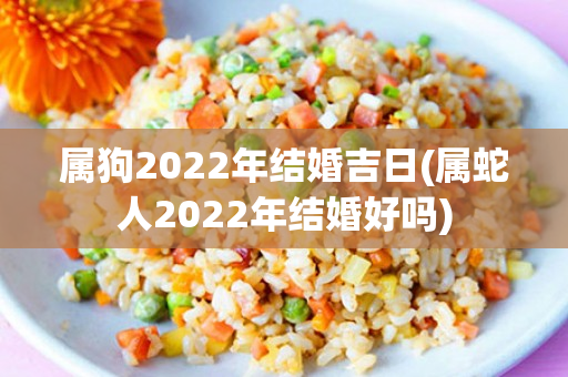 属狗2022年结婚吉日(属蛇人2022年结婚好吗)