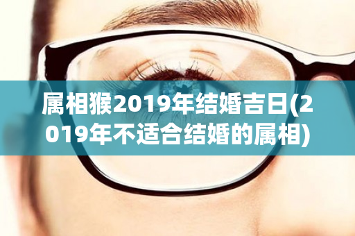 属相猴2019年结婚吉日(2019年不适合结婚的属相)