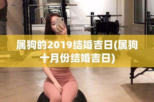 属狗的2019结婚吉日(属狗十月份结婚吉日)