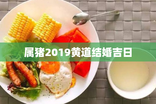 属猪2019黄道结婚吉日