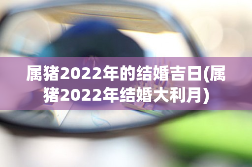 属猪2022年的结婚吉日(属猪2022年结婚大利月)