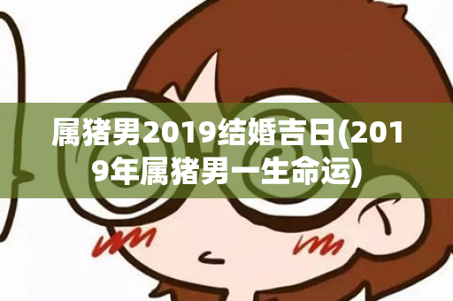 属猪男2019结婚吉日(2019年属猪男一生命运)