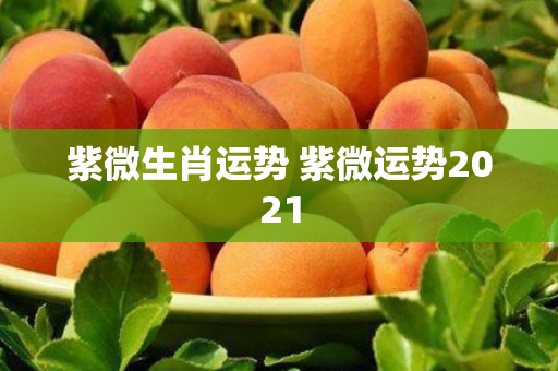 紫微生肖运势 紫微运势2021