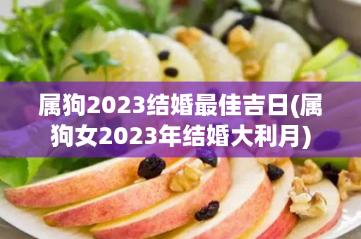 属狗2023结婚最佳吉日(属狗女2023年结婚大利月)