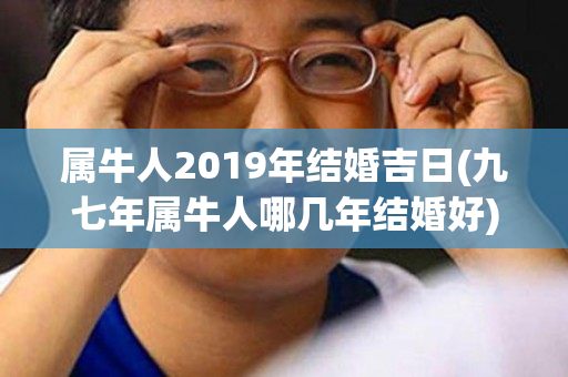 属牛人2019年结婚吉日(九七年属牛人哪几年结婚好)