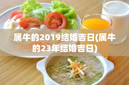 属牛的2019结婚吉日(属牛的23年结婚吉日)