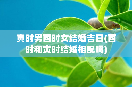 寅时男酉时女结婚吉日(酉时和寅时结婚相配吗)