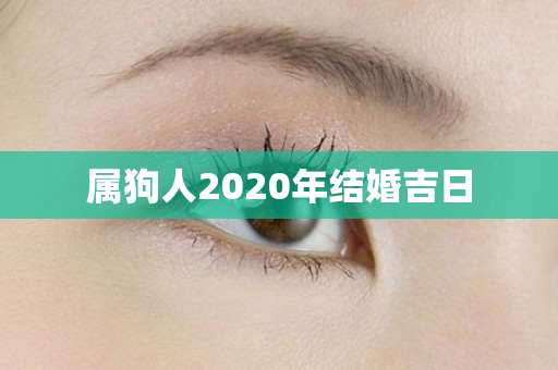 属狗人2020年结婚吉日