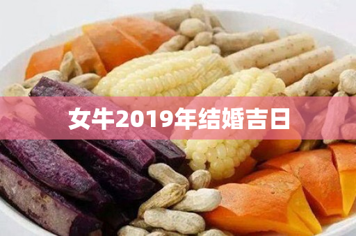 女牛2019年结婚吉日