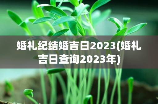 婚礼纪结婚吉日2023(婚礼吉日查询2023年)