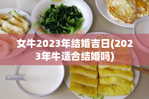 女牛2023年结婚吉日(2023年牛适合结婚吗)