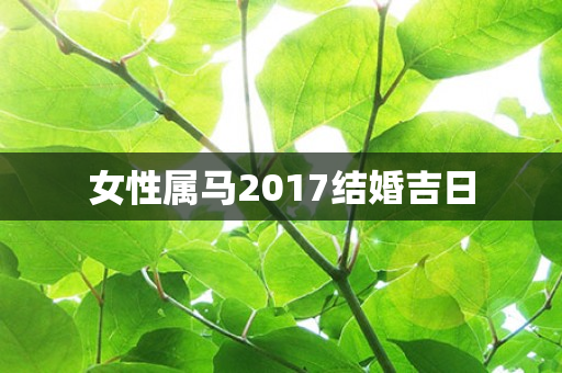 女性属马2017结婚吉日