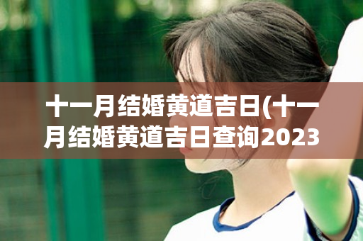 十一月结婚黄道吉日(十一月结婚黄道吉日查询2023农历8月)