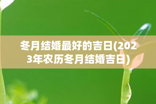 冬月结婚最好的吉日(2023年农历冬月结婚吉日)