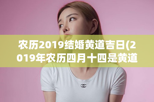 农历2019结婚黄道吉日(2019年农历四月十四是黄道吉日吗)