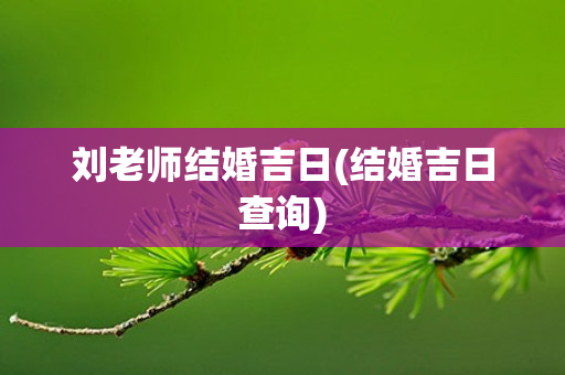 刘老师结婚吉日(结婚吉日查询)