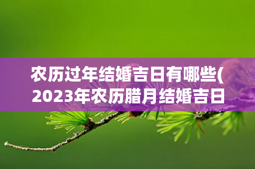 农历过年结婚吉日有哪些(2023年农历腊月结婚吉日)