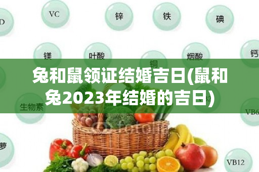 兔和鼠领证结婚吉日(鼠和兔2023年结婚的吉日)