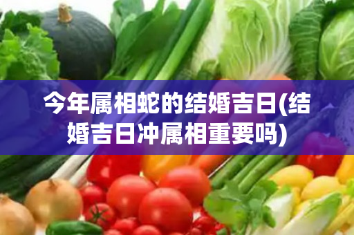 今年属相蛇的结婚吉日(结婚吉日冲属相重要吗)