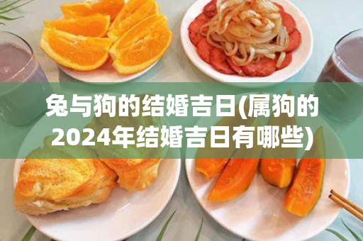 兔与狗的结婚吉日(属狗的2024年结婚吉日有哪些)