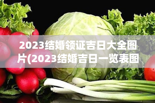 2023结婚领证吉日大全图片(2023结婚吉日一览表图)