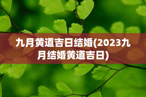 九月黄道吉日结婚(2023九月结婚黄道吉日)