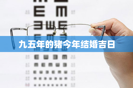 九五年的猪今年结婚吉日