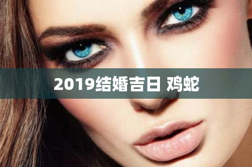 2019结婚吉日 鸡蛇