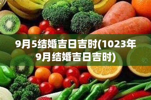 9月5结婚吉日吉时(1023年9月结婚吉日吉时)