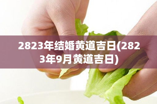 2823年结婚黄道吉日(2823年9月黄道吉日)