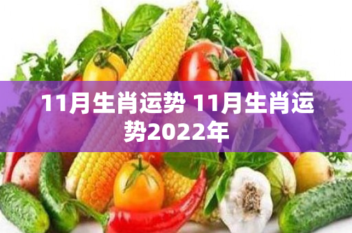 11月生肖运势 11月生肖运势2022年