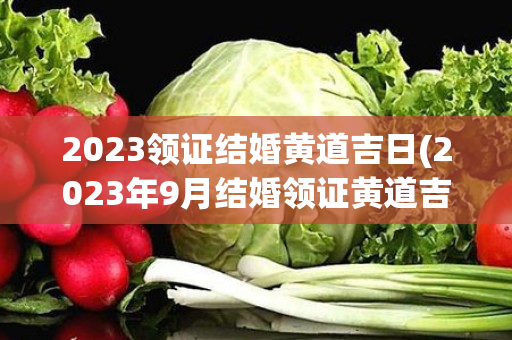 2023领证结婚黄道吉日(2023年9月结婚领证黄道吉日)