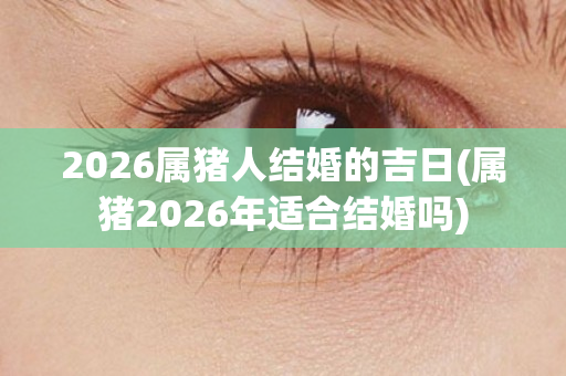 2026属猪人结婚的吉日(属猪2026年适合结婚吗)