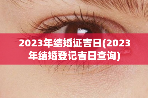 2023年结婚证吉日(2023年结婚登记吉日查询)