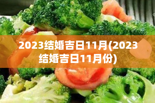 2023结婚吉日11月(2023结婚吉日11月份)