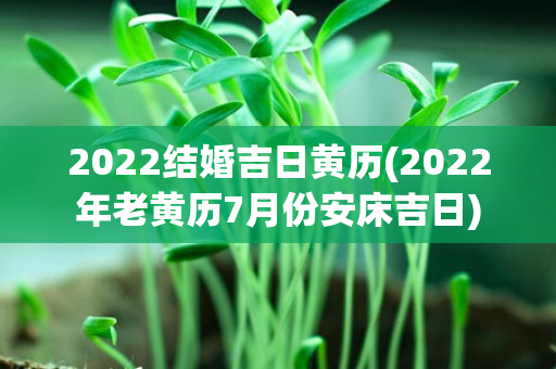 2022结婚吉日黄历(2022年老黄历7月份安床吉日)