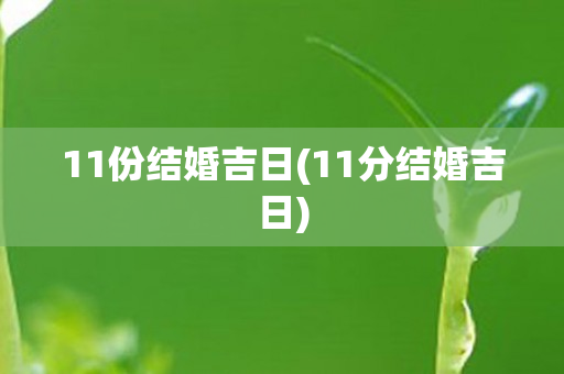 11份结婚吉日(11分结婚吉日)