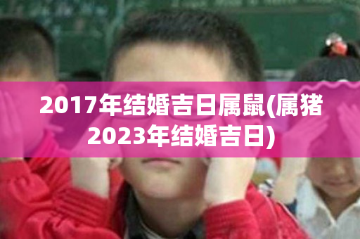 2017年结婚吉日属鼠(属猪2023年结婚吉日)