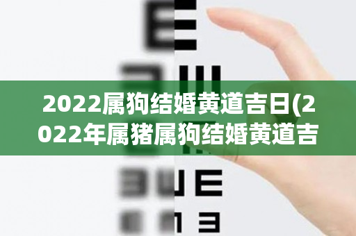 2022属狗结婚黄道吉日(2022年属猪属狗结婚黄道吉日)