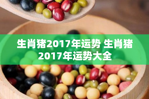 生肖猪2017年运势 生肖猪2017年运势大全