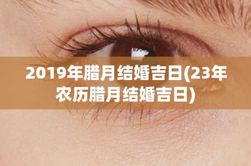 2019年腊月结婚吉日(23年农历腊月结婚吉日)