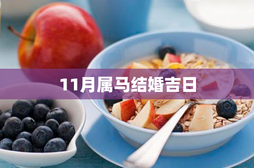 11月属马结婚吉日