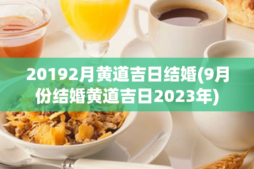 20192月黄道吉日结婚(9月份结婚黄道吉日2023年)