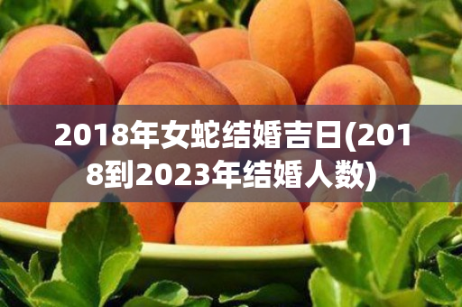 2018年女蛇结婚吉日(2018到2023年结婚人数)